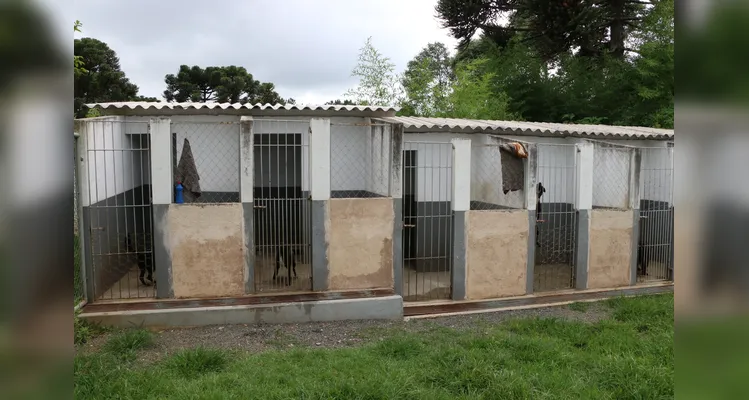 Espaço conta com plantão veterinário.