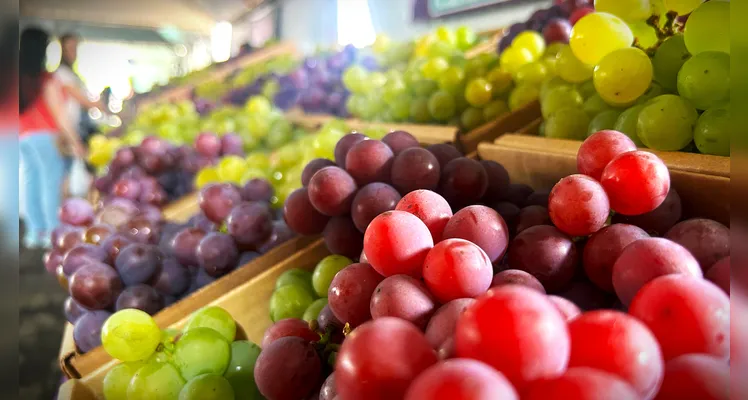 Uvas Niágara Rosada, Niágara Branca, Bordô e Preta são comercializadas.