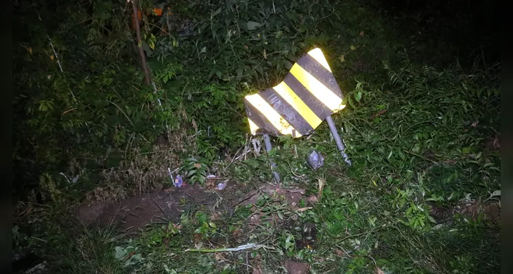 Carro atingiu uma placa de sinalização.