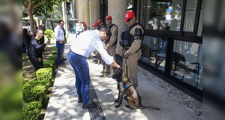 Departamento de Estradas de Rodagem entrega 36 viaturas e 5 cães ao Batalhão de Polícia Rodoviária Estadual |