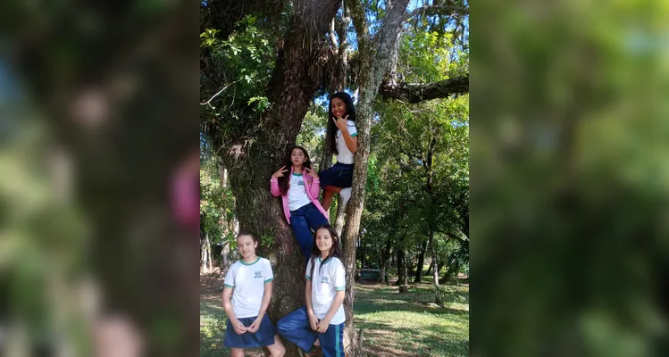 Veja como foi o amplo trabalho dos alunos dentro e fora da sala de aula.