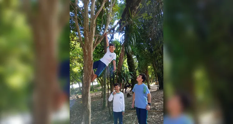 Veja como foi o amplo trabalho dos alunos dentro e fora da sala de aula.