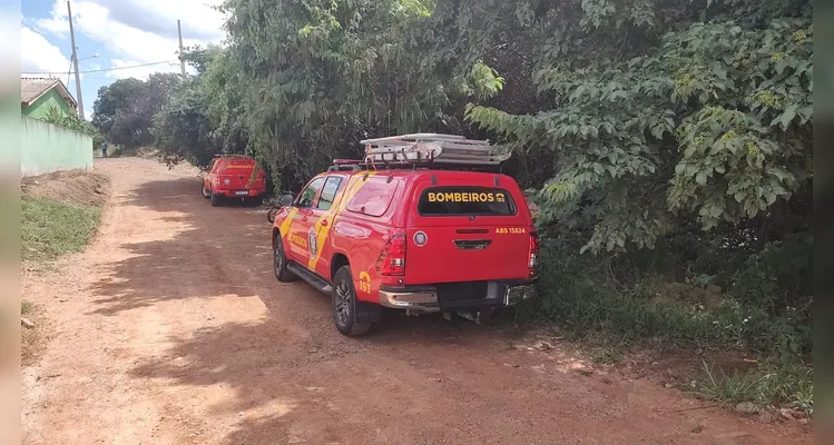 Equipes do Corpo de Bombeiros e da Guarda Civil Municipal (GCM) de Ponta Grossa realizam buscas.