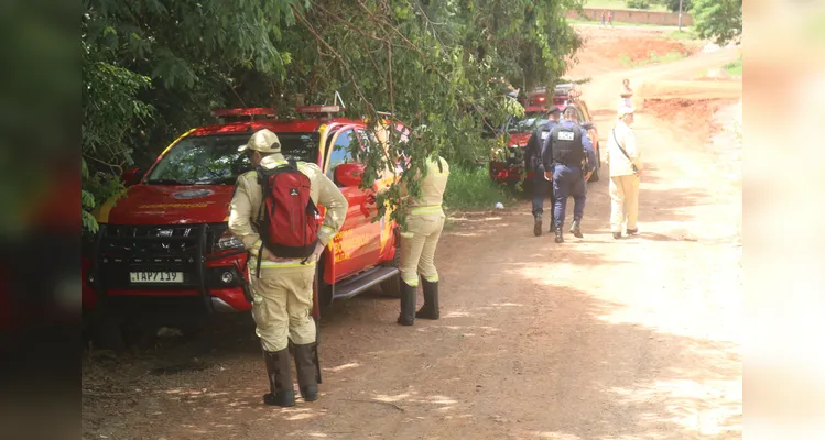 Equipes do Corpo de Bombeiros e da Guarda Civil Municipal (GCM) de Ponta Grossa realizam buscas.