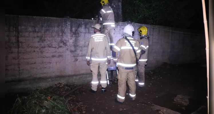 Bombeiros combateram as chamas pelo terreno de um imóvel vizinho