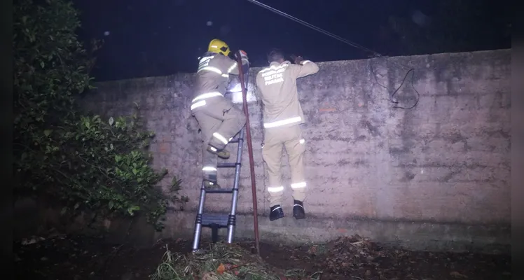 Bombeiros combateram as chamas pelo terreno de um imóvel vizinho