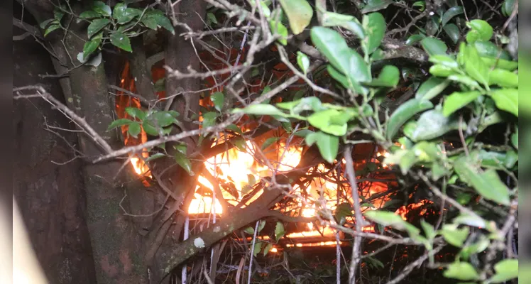 Bombeiros combateram as chamas pelo terreno de um imóvel vizinho