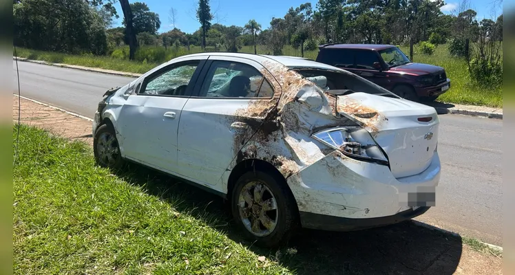 Carro que caiu de viaduto de PG é retirado do local do acidente