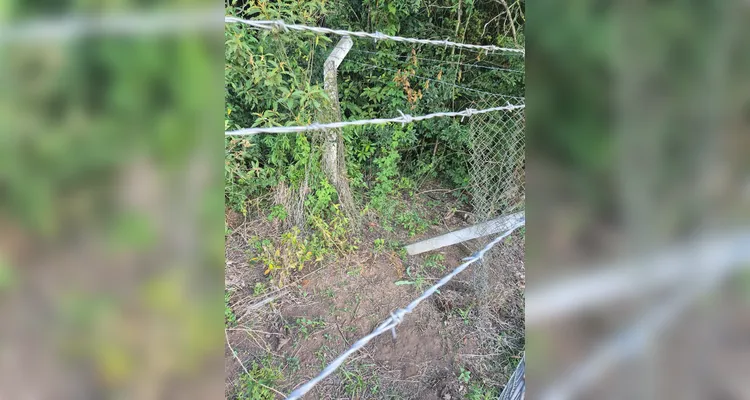 Polícia prende homem por tentativa de furto de fios de cobre em Castro