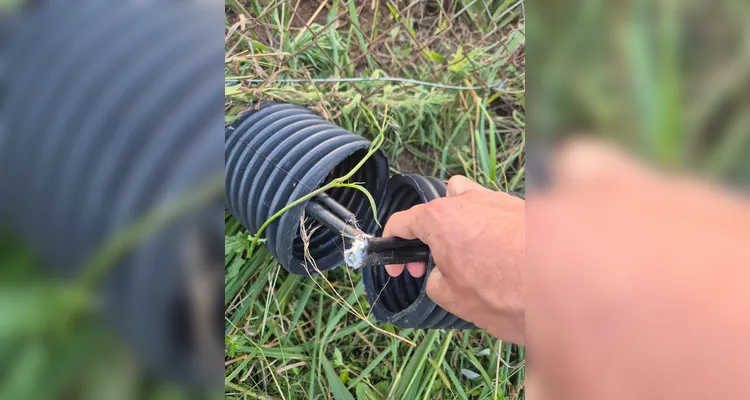 Polícia prende homem por tentativa de furto de fios de cobre em Castro