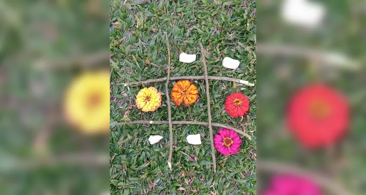 Alunos de Imbituva criam ações artísticas com ‘Land Art’