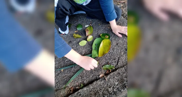 Alunos de Imbituva criam ações artísticas com ‘Land Art’