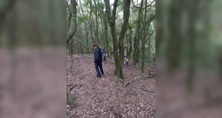 Aula de campo aborda questões sustentáveis em Piraí do Sul