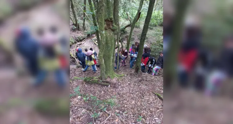 Aula de campo aborda questões sustentáveis em Piraí do Sul