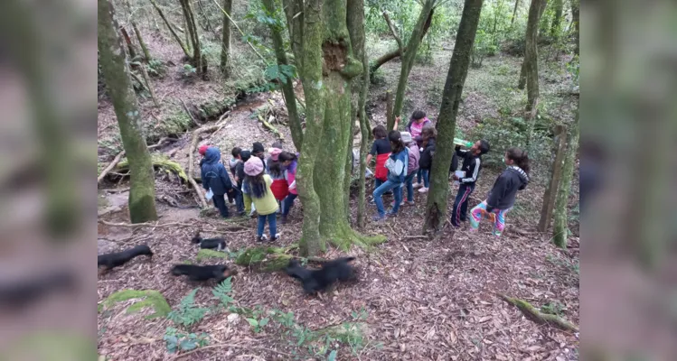 Aula de campo aborda questões sustentáveis em Piraí do Sul