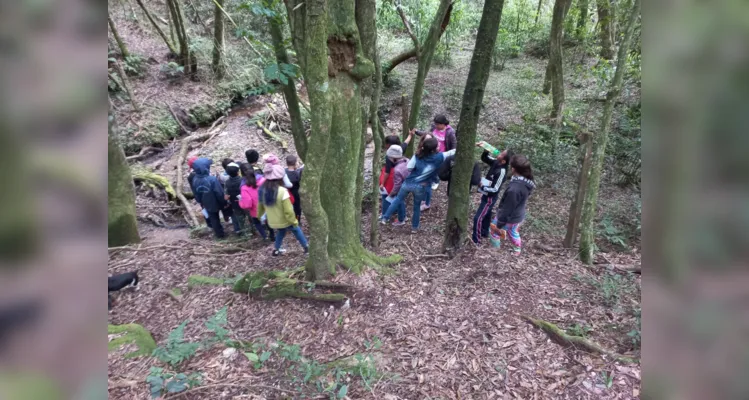 Aula de campo aborda questões sustentáveis em Piraí do Sul