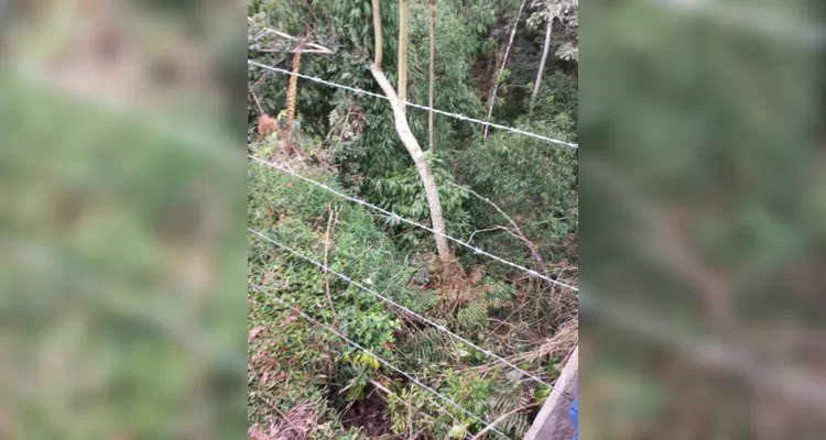 Aula de campo aborda questões sustentáveis em Piraí do Sul