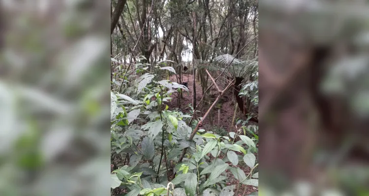 Aula de campo aborda questões sustentáveis em Piraí do Sul