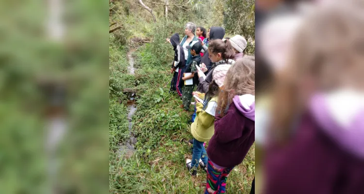 Aula de campo aborda questões sustentáveis em Piraí do Sul