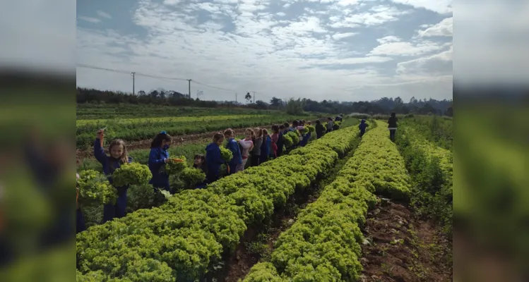 Alimentação saudável é base de projeto no CAIC em PG