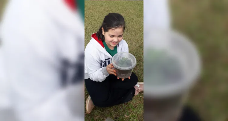 Vamos Ler traz construção de terrário fechado em Ipiranga