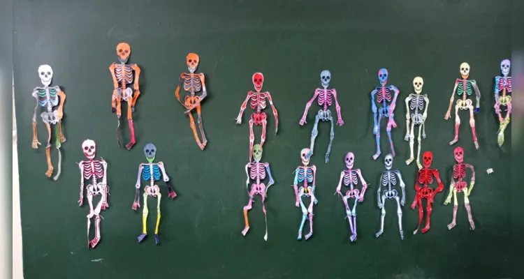 Dinâmica sobre o esqueleto em Reserva é tema do Vamos Ler