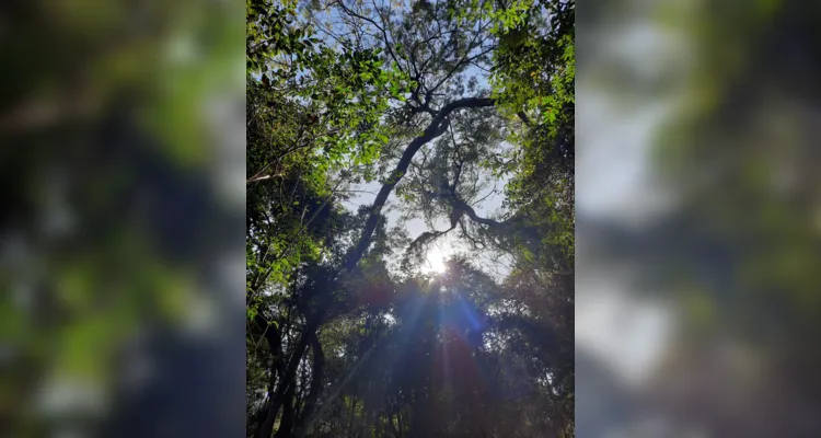 Projeto ambiental proporciona passeio a alunos de Jaguariaíva