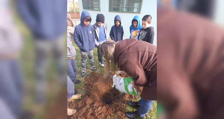 Dia da Árvore estimula ações ambientais em Guamiranga