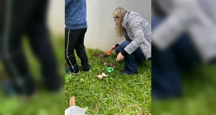 Girassóis marcam passagem para a primavera em Imbituva