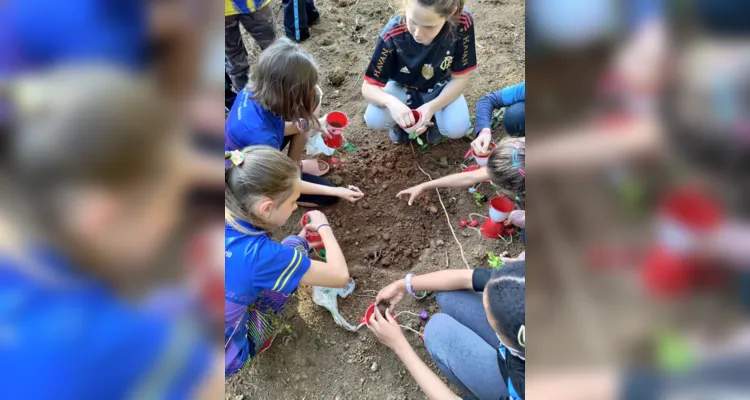 Turma de Palmeira desenvolve amplas ações sustentáveis