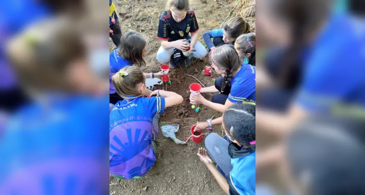 Turma de Palmeira desenvolve amplas ações sustentáveis