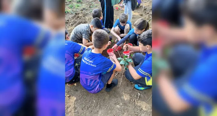 Turma de Palmeira desenvolve amplas ações sustentáveis