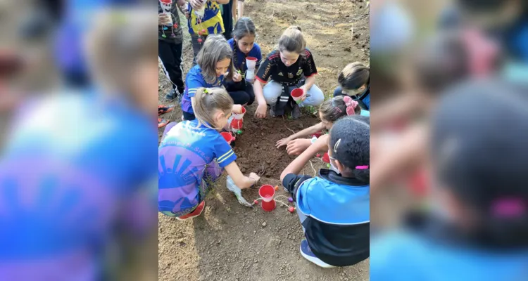 Turma de Palmeira desenvolve amplas ações sustentáveis