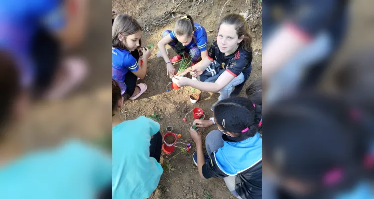 Turma de Palmeira desenvolve amplas ações sustentáveis