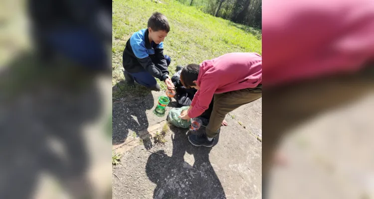 Turma de Palmeira desenvolve amplas ações sustentáveis