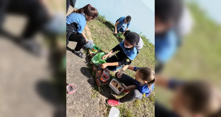 Turma de Palmeira desenvolve amplas ações sustentáveis