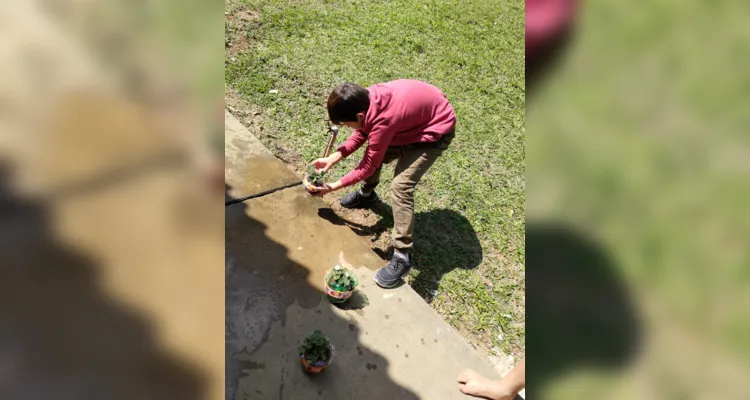 Turma de Palmeira desenvolve amplas ações sustentáveis