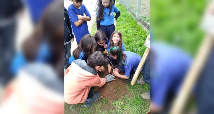 Ação ambiental em turma de PG tem plantio de árvores