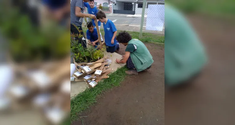 Ação ambiental em turma de PG tem plantio de árvores