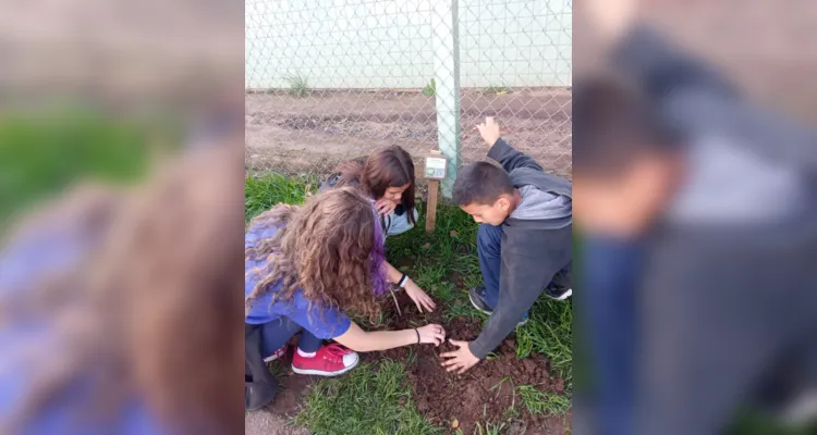 Ação ambiental em turma de PG tem plantio de árvores