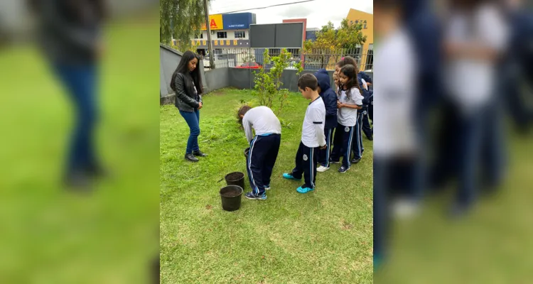 Dia da Árvore é destaque de ampla ação em Ortigueira