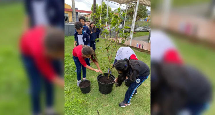 Dia da Árvore é destaque de ampla ação em Ortigueira