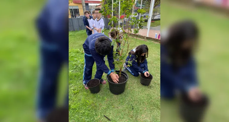 Dia da Árvore é destaque de ampla ação em Ortigueira