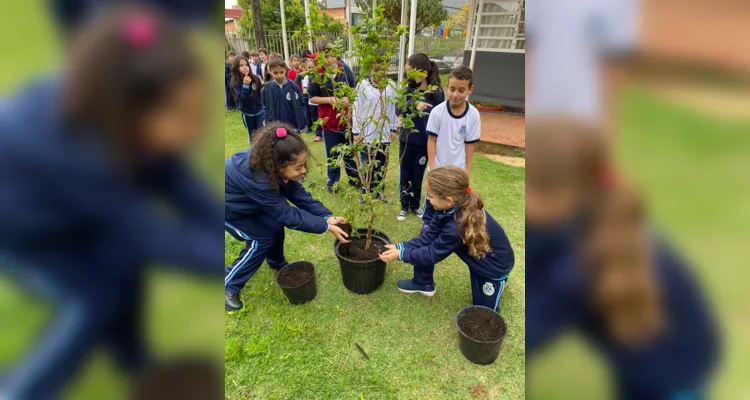Dia da Árvore é destaque de ampla ação em Ortigueira