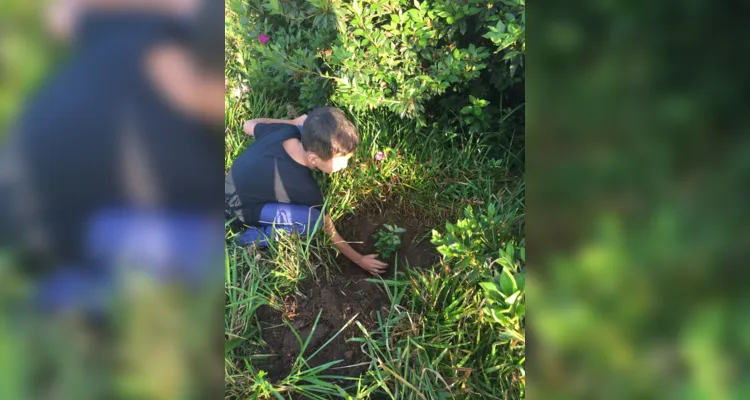 Alunos de Imbaú registram o Dia da Árvore em fotos e vídeos