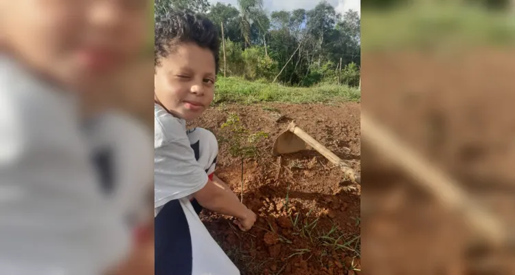 Alunos de Imbaú registram o Dia da Árvore em fotos e vídeos