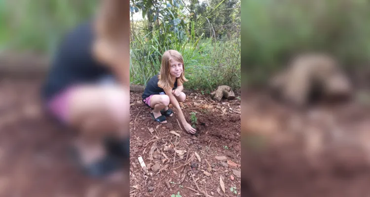 Alunos de Imbaú registram o Dia da Árvore em fotos e vídeos