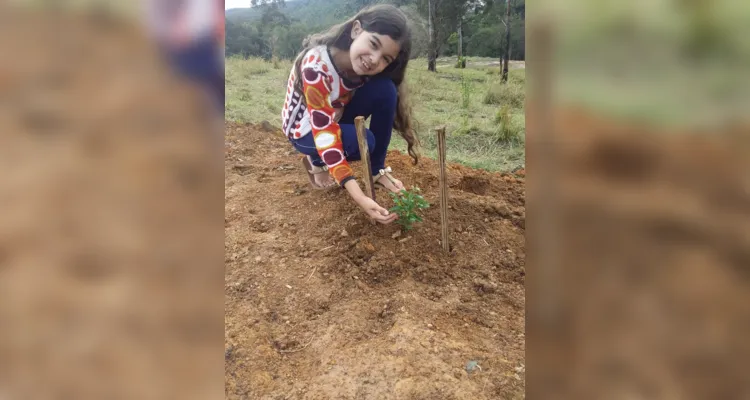 Alunos de Imbaú registram o Dia da Árvore em fotos e vídeos