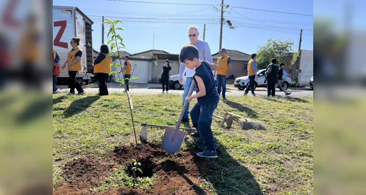 Clube realizou o plantio de árvores frutíferas na cidade; público também pode participar