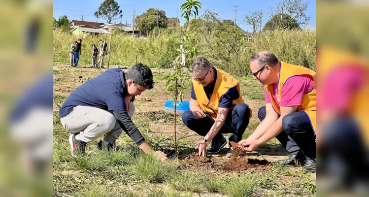 Clube realizou o plantio de árvores frutíferas na cidade; público também pode participar